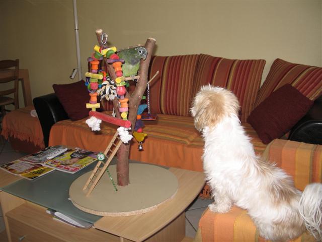 ZoÃ© 200 (Small).jpg