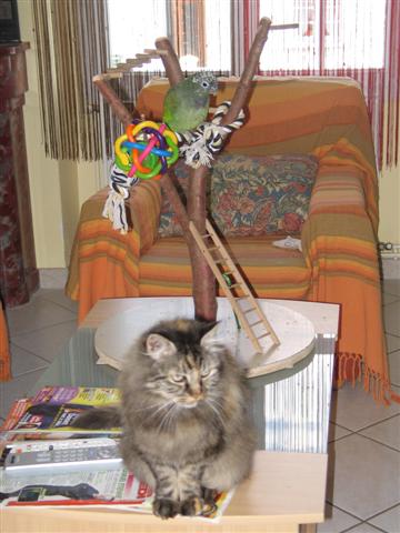 ZoÃ© 195 (Small).jpg