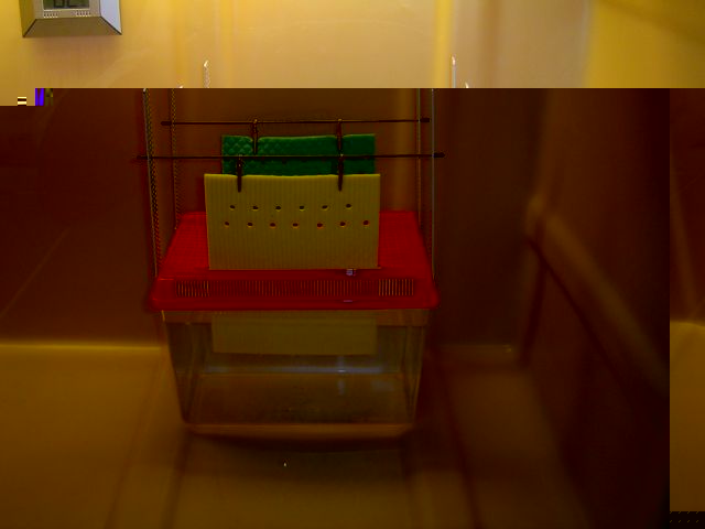 DSC05992 (Copier).JPG