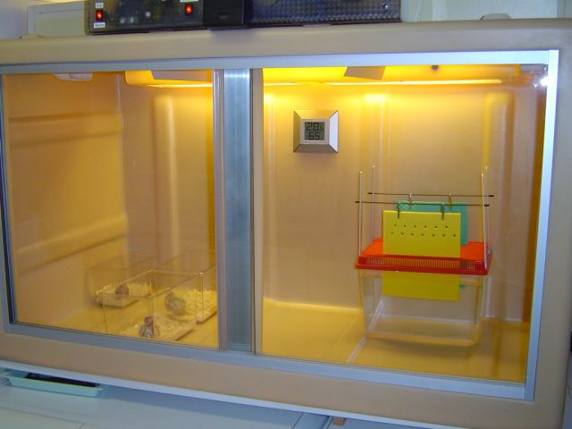 DSC05996 (Copier).JPG