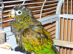 P1030505 (WinCE).JPG