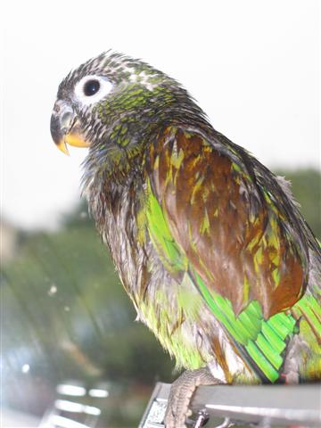 ZoÃ© 052 (Small).jpg