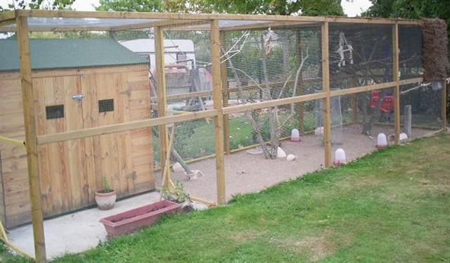 voliere1 (Small).JPG