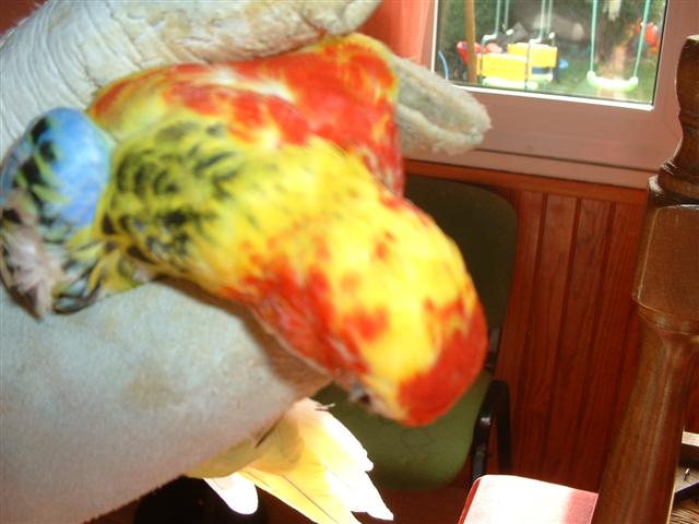 DSCF0050 (Small) (2).JPG