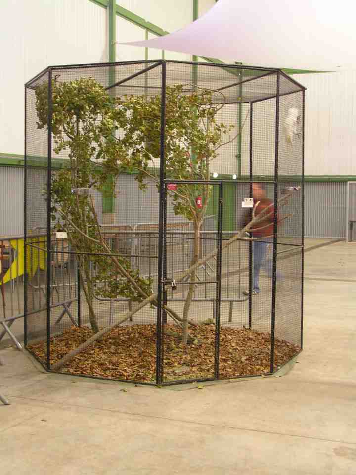 VoliÃ¨re du cacatoÃ¨s Alba.jpg