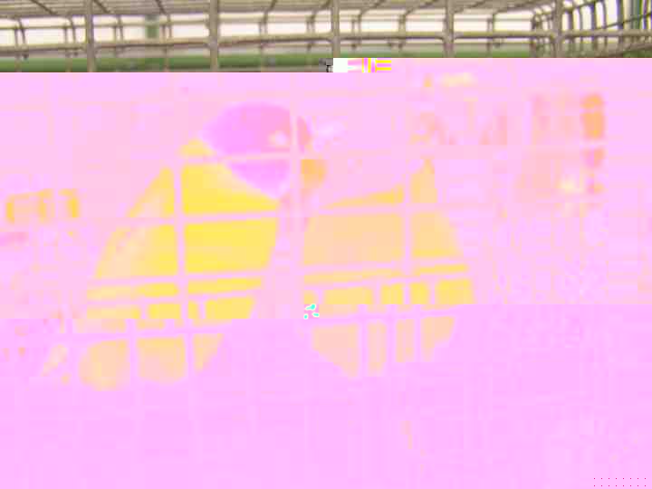 Couple de tÃªte de prune.jpg