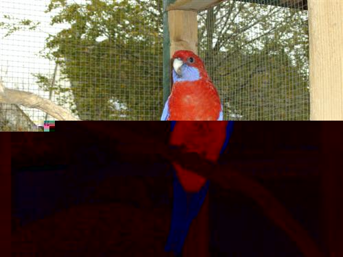 IMGP0334 (Custom).JPG