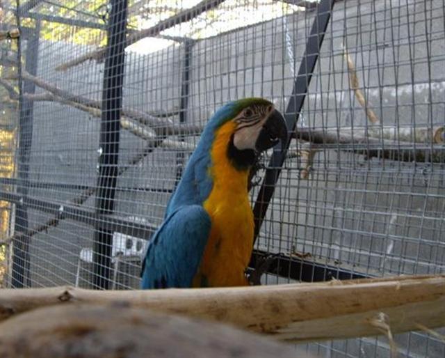 nina (Small) (Small) (Small).jpg