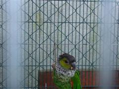 DSC00085 (Small) (WinCE).JPG