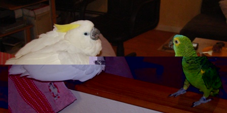 Copie de amzone a nous 041.jpg