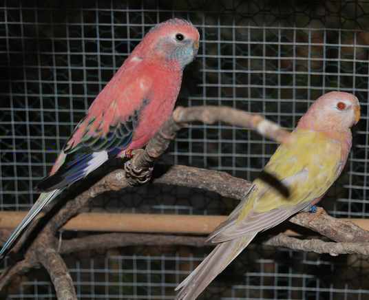 DSC_0045 -1 Raccourci.jpg