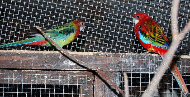 DSC_0055 -1 Raccourci.jpg