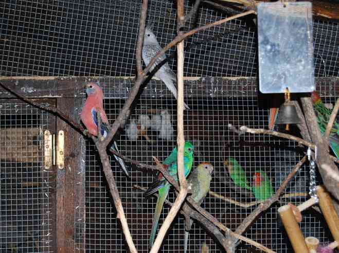 DSC_0024 -1 Raccourci.jpg