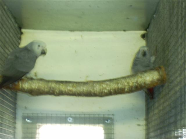 PIC_0011 (Small).JPG