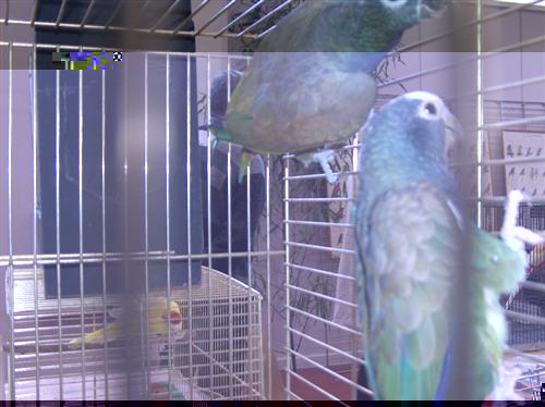 Ensemble de Piones (SÃ©nilis, Maximiliens).jpg