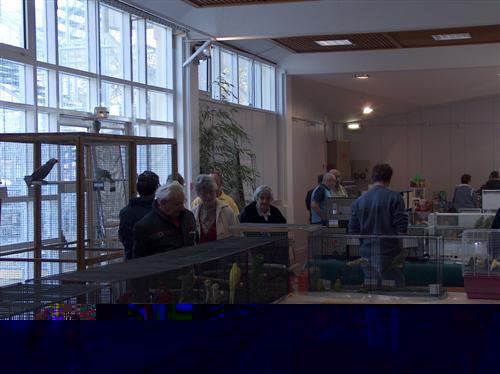 Vue d'ensemble 1.jpg