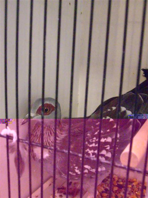 Photo 036 (Small).jpg