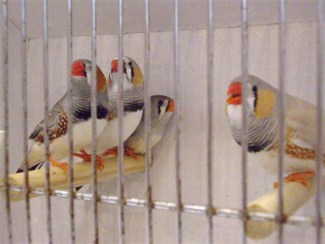 Photo 037 (Small).jpg