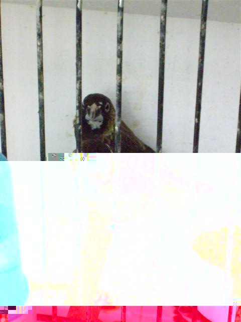 Photo 041 (Small).jpg