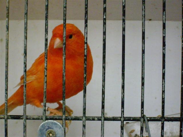 Photo 043 (Small).jpg