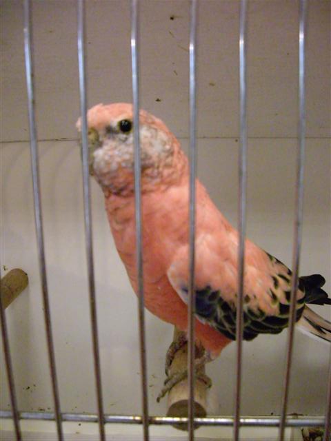 Photo 045 (Small).jpg