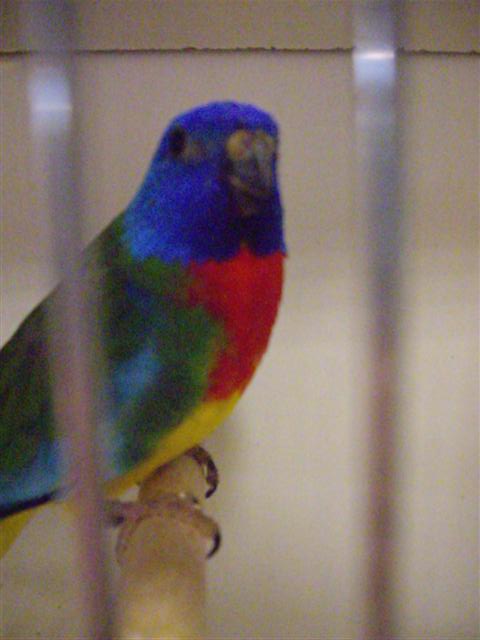 Photo 047 (Small).jpg