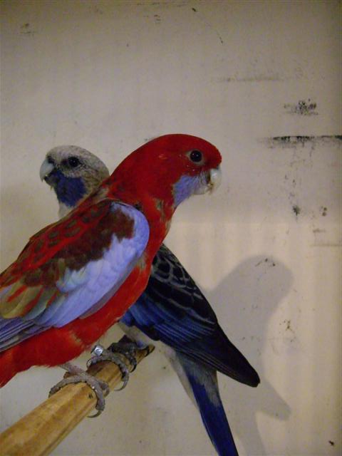 Photo 049 (Small).jpg