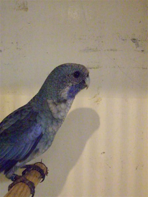 Photo 051 (Small).jpg