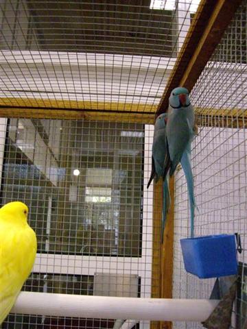 Photo 058 (Small) (Small).jpg