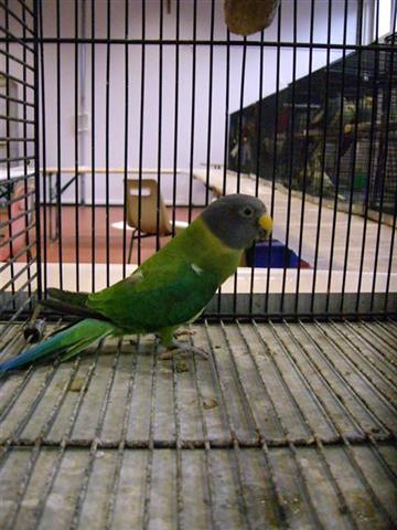 Photo 061 (Small) (Small).jpg