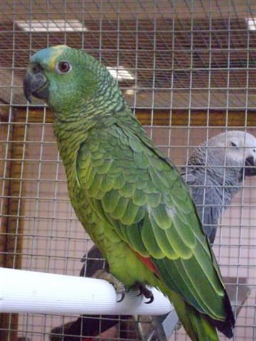 Photo 063 (Small) (Small).jpg