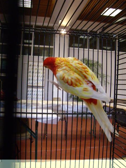 Photo 068 (Small).jpg