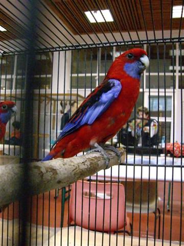 Photo 069 (Small) (Small).jpg