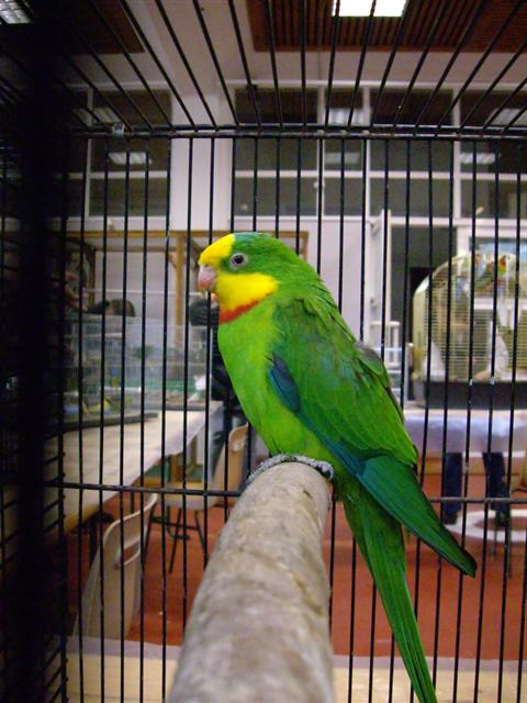 Photo 072 (Small).jpg