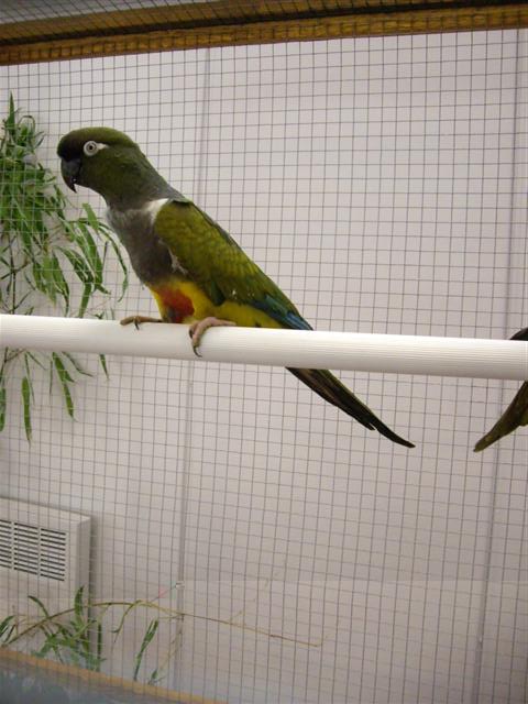 Photo 086 (Small).jpg