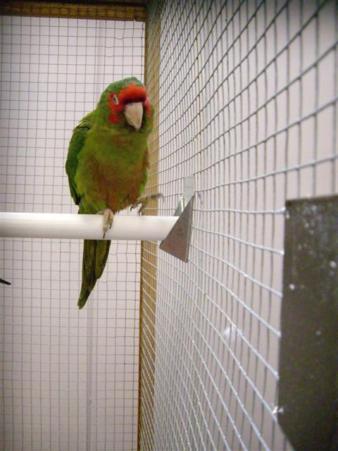 Photo 087 (Small).jpg