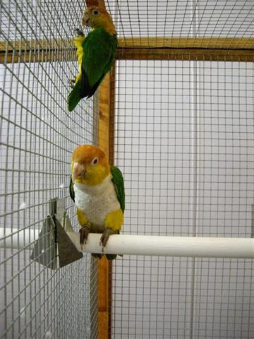 Photo 089 (Small) (Small).jpg