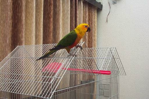 Resize of 13-06-20030078.jpg