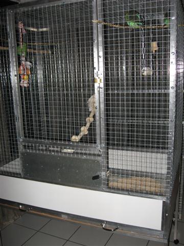 voliÃ¨re 2 001 (Small).jpg