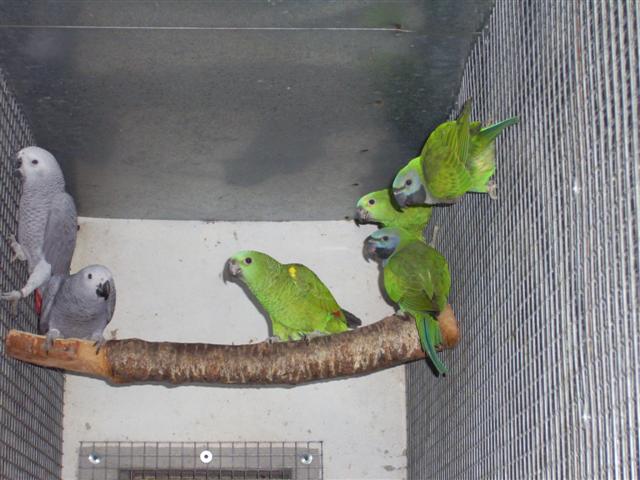 PIC_0003 (Small).JPG