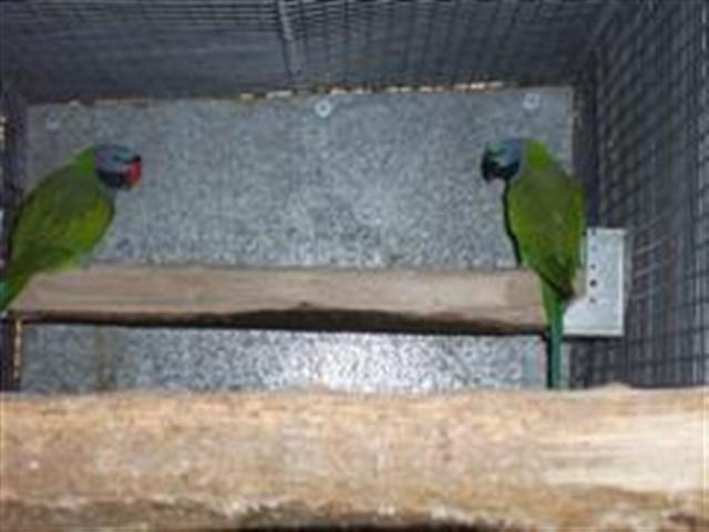 PIC_0006 (WinCE) (Small).JPG