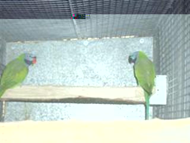 PIC_0007 (WinCE) (Small).JPG