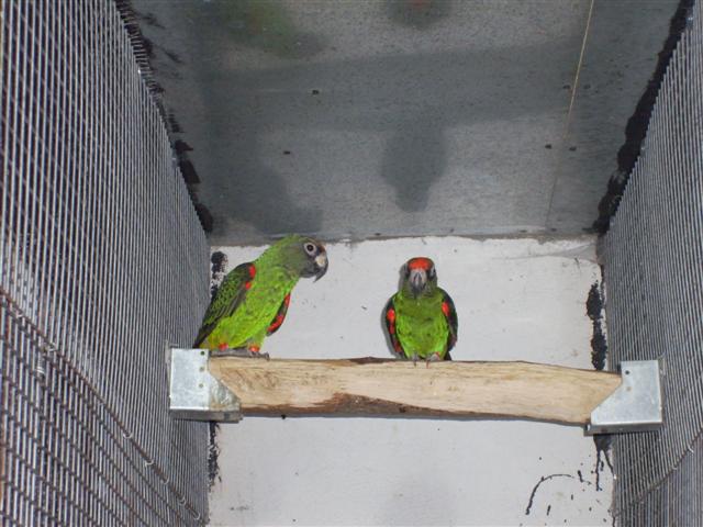 PIC_0010 (Small).JPG