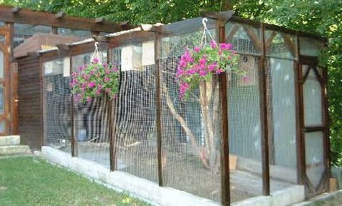 volière pétunia.jpg