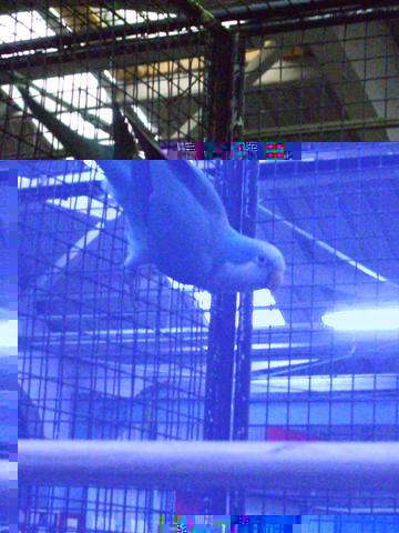 Photo 009 (Small).jpg