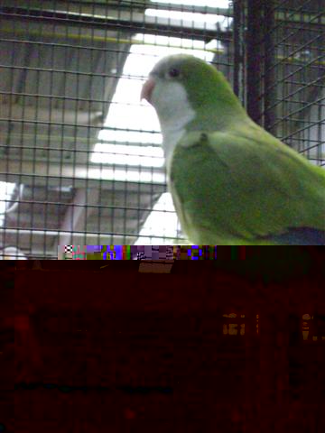 Photo 010 (Small).jpg