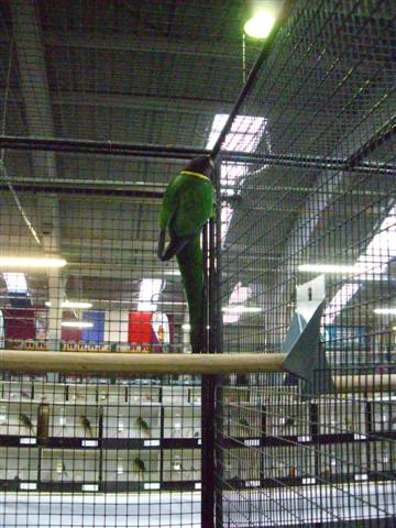 Photo 012 (Small).jpg