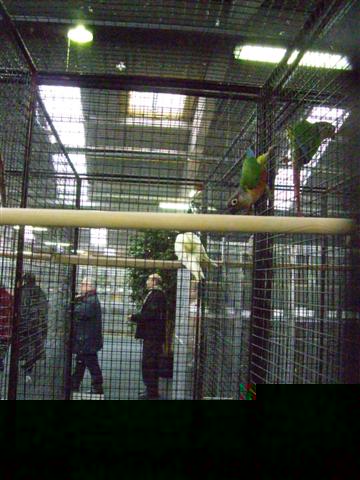 Photo 013 (Small).jpg