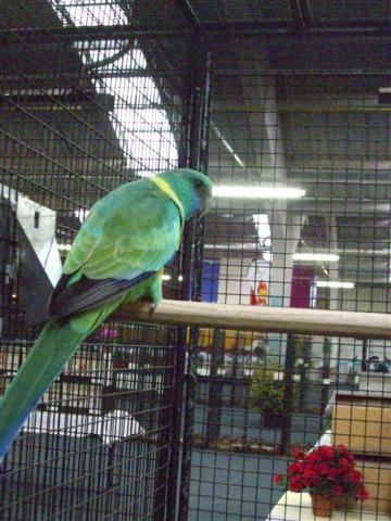 Photo 014 (Small).jpg