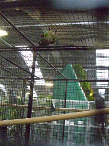 Photo 016 (Small).jpg